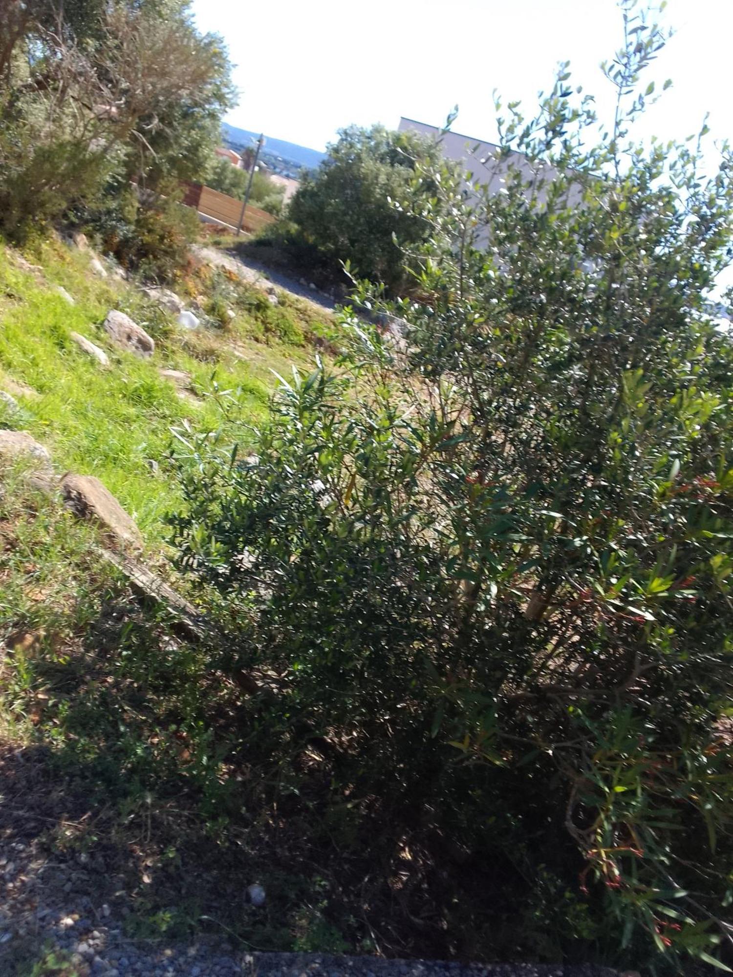 Gite De L'Etang Proche Des Grands Buffets Narbonne Extérieur photo